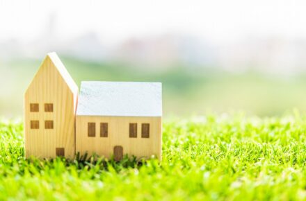 ミニチュアと芝生