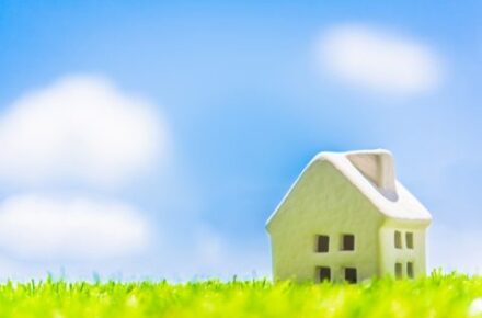 空と芝生とミニチュア